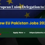 Project Officer Islamabad Jobs At European Union Delegation to Pakistan