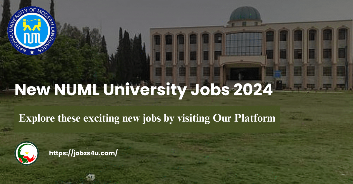 NUML University Jobs in Multan 2024 apply now - Jobzs4u