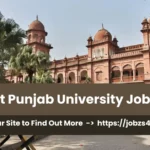 Punjab University Jobs 2024 Apply Now - Jobzs4u
