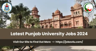 Punjab University Jobs 2024 Apply Now - Jobzs4u